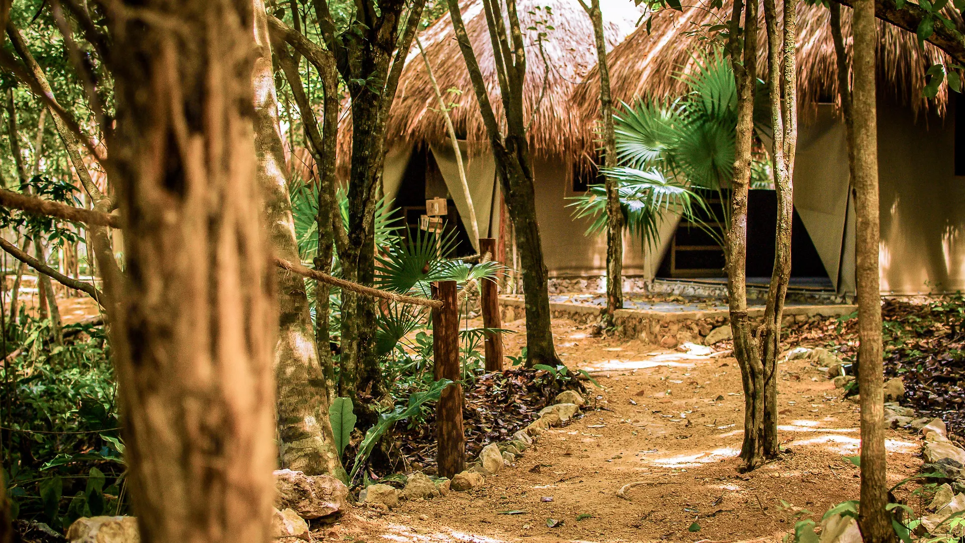 Akumal Natura Glamping