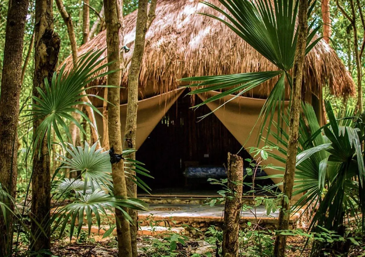 Akumal Natura Glamping México