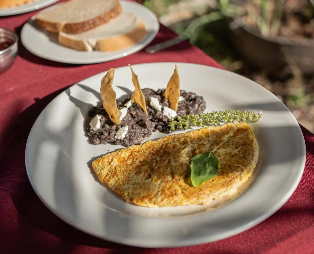 Hotel Akumal Natura Glamping