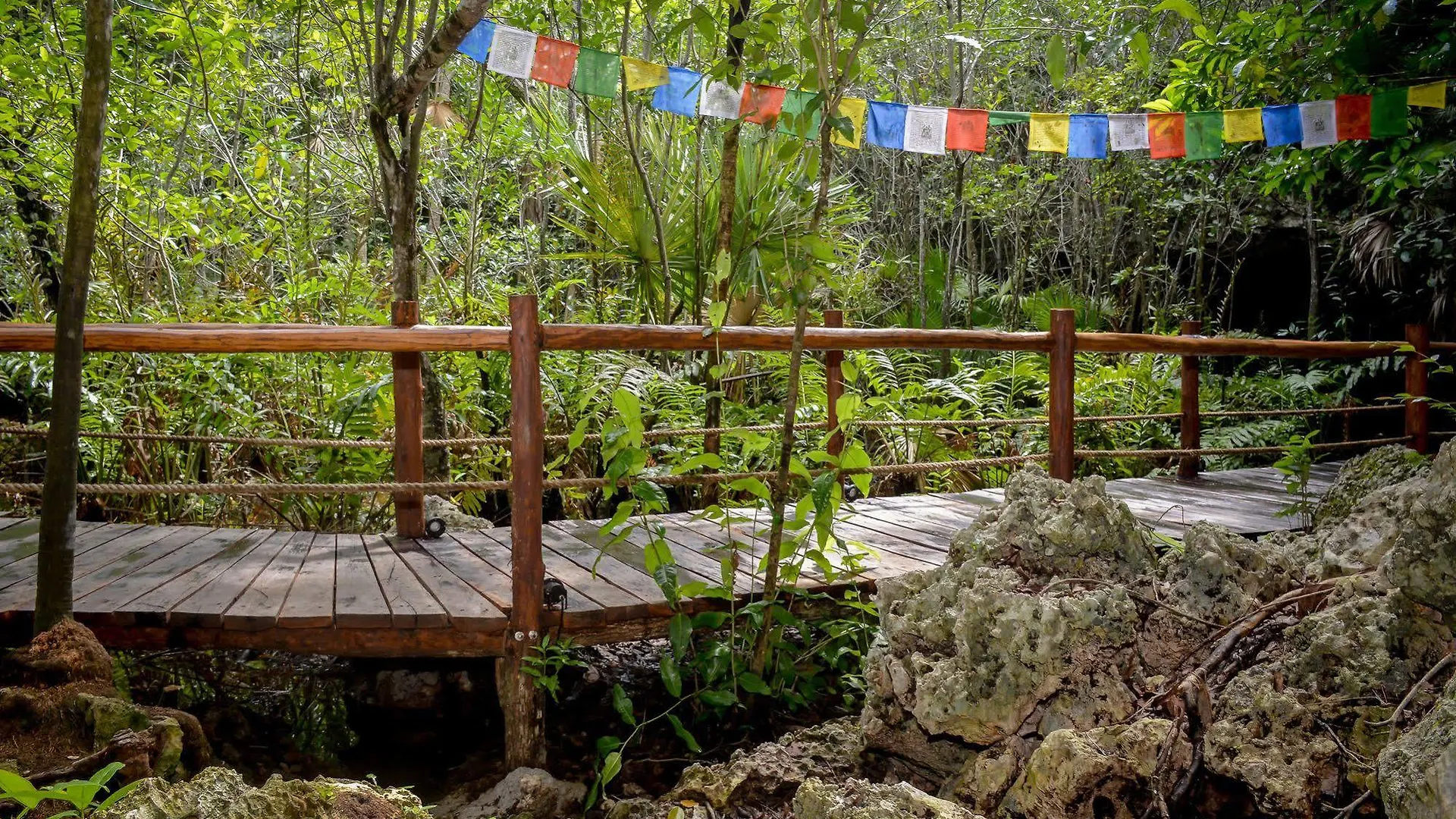 Akumal Natura Glamping