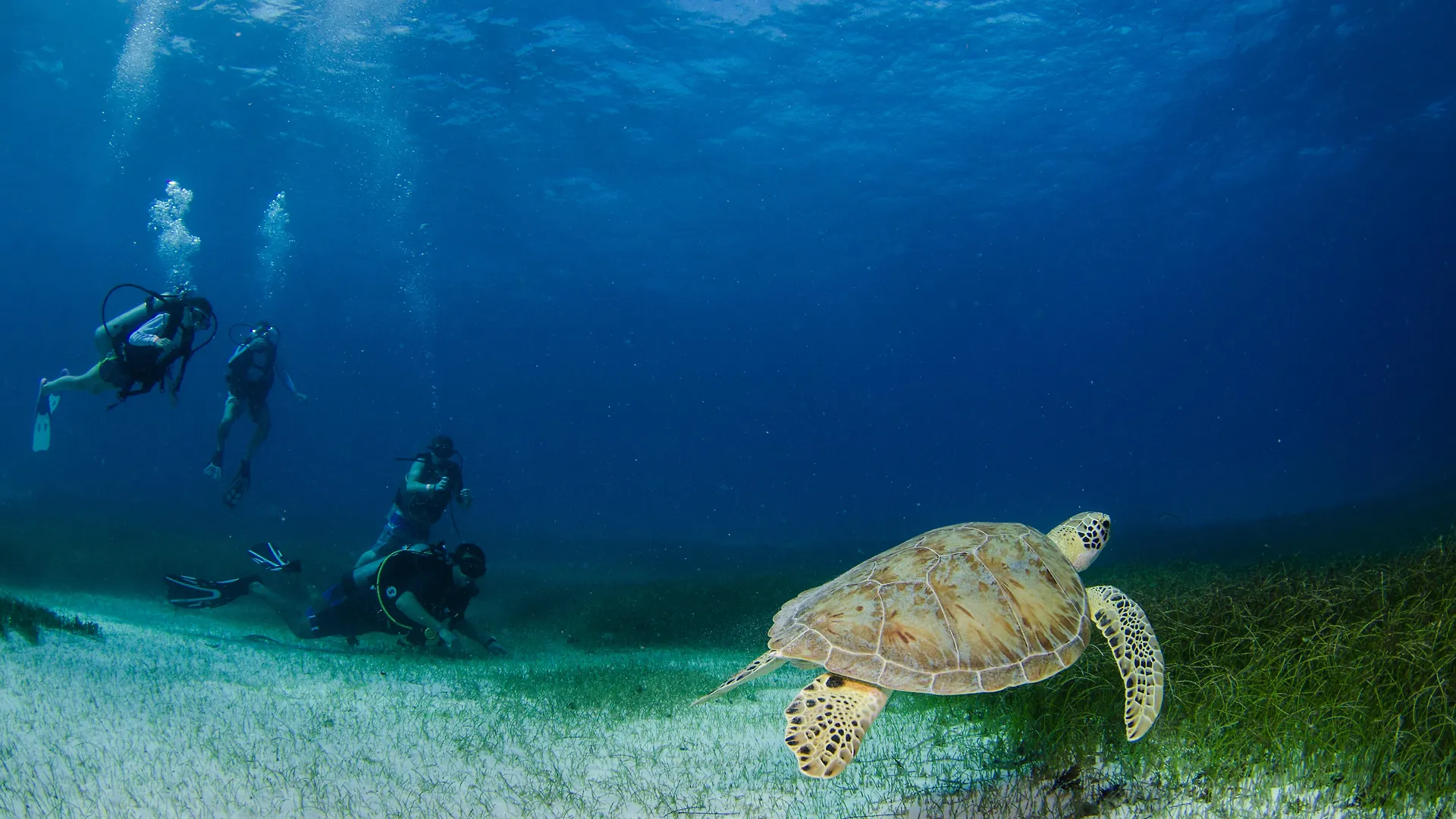 *** Hotel Akumal Natura Glamping Mexico