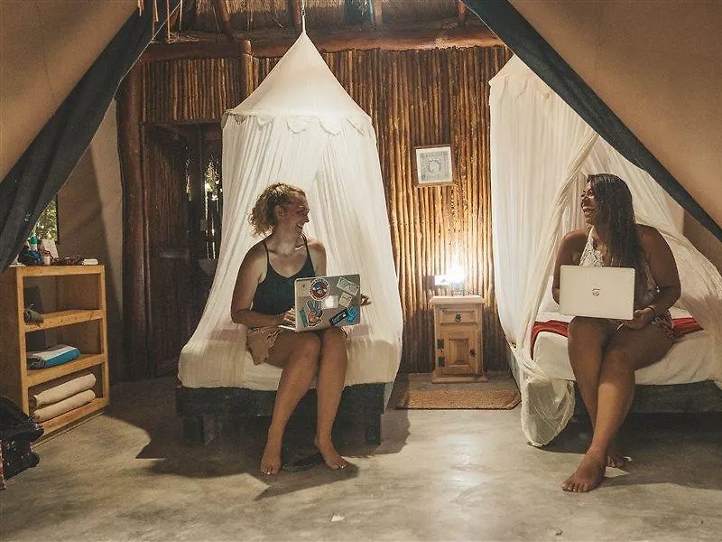 Отель Akumal Natura Glamping