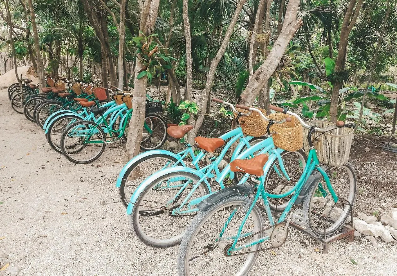 Отель Akumal Natura Glamping