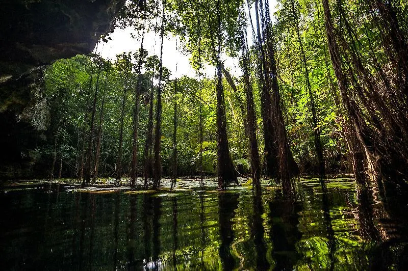 Отель Akumal Natura Glamping
