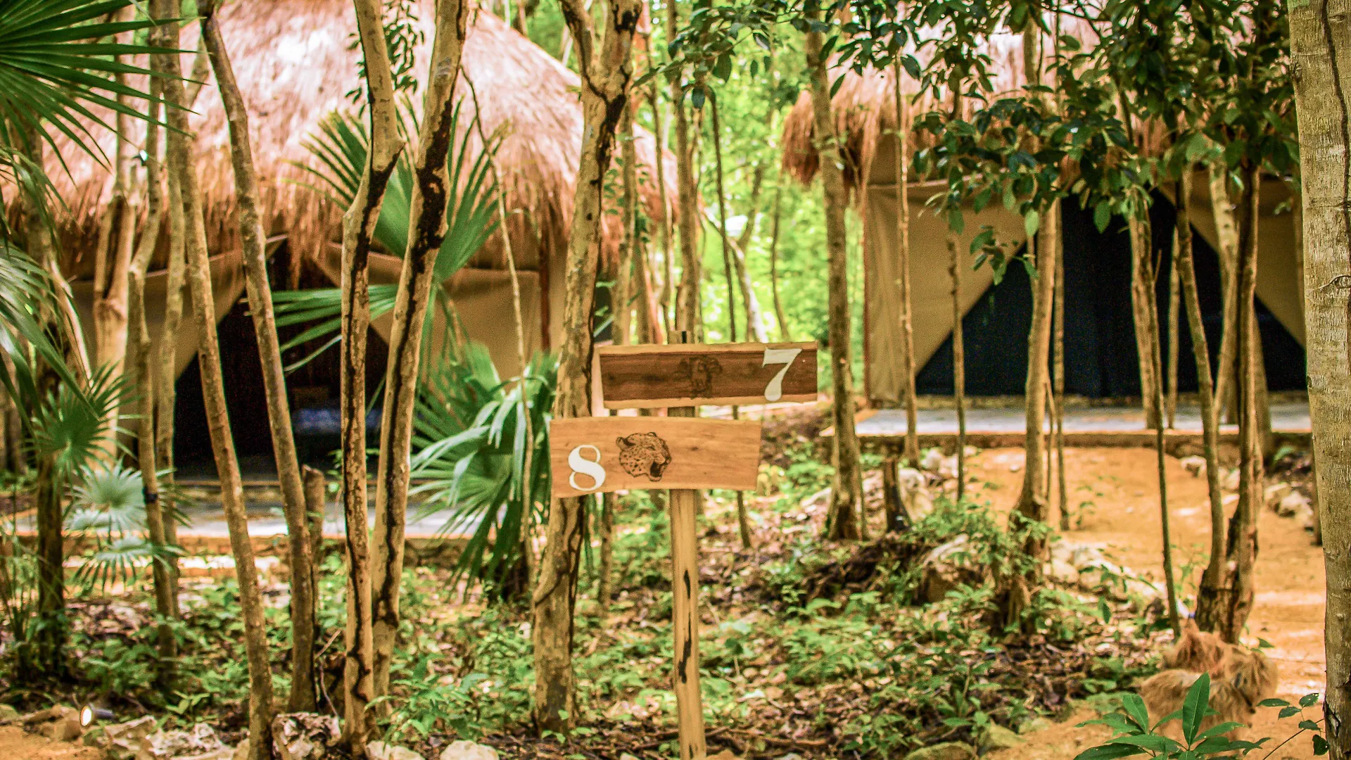 Akumal Natura Glamping Hotel